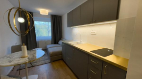 Alpinka apartment